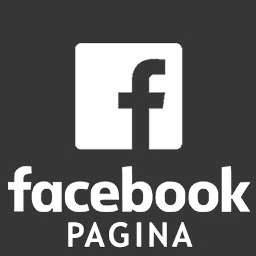 5 FACEBOOK pagina